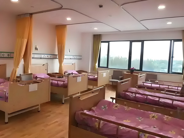 逆日之旅