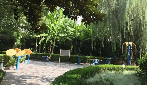 囧女穿越：弃女大翻身